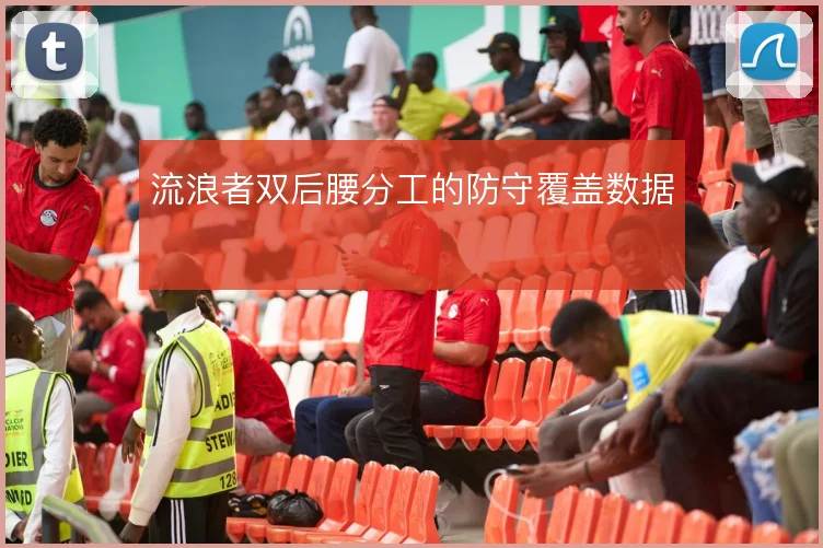 流浪者双后腰分工的防守覆盖数据