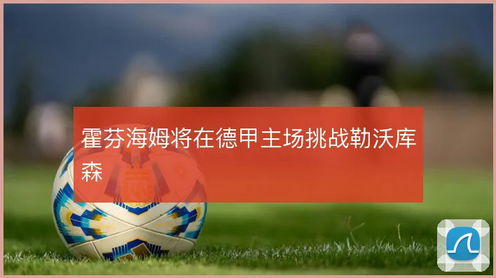 霍芬海姆将在德甲主场挑战勒沃库森