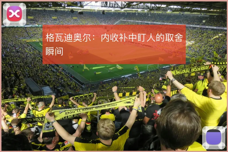 格瓦迪奥尔：内收补中盯人的取舍瞬间