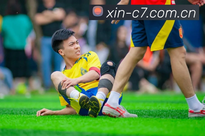 c7娱乐平台生态图